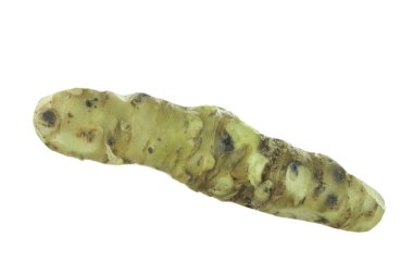 beyaz arka planda izole wasabi kökü, yakın çekim  