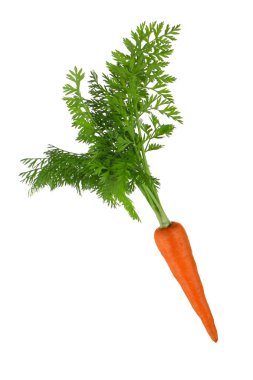 Doğal havuç closeup, diyet gıda kavramı