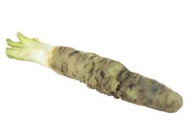 beyaz arka planda izole wasabi kökü, yakın çekim  