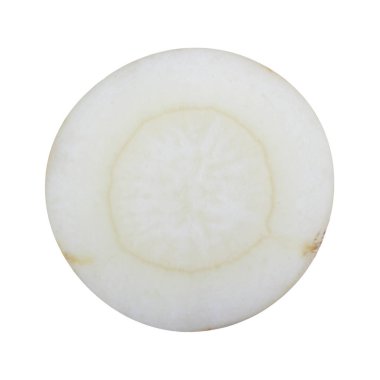 maydanoz kökü dilimi beyaz arka plan üzerinde izole