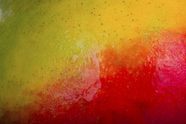 olgun mango meyve yakın 