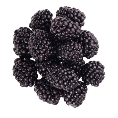 Beyaz arka planda izole edilmiş taze böğürtlen