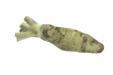 beyaz arka planda izole wasabi kökü, yakın çekim  