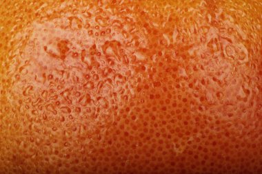 turuncu olgun greyfurt arka plan, yakın görünüm