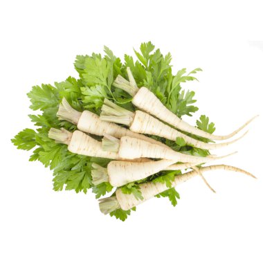 Beyaz arka plan üzerinde izole maydanoz kökleri