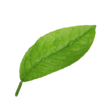 arka planda doğal narenciye, yakın çekim