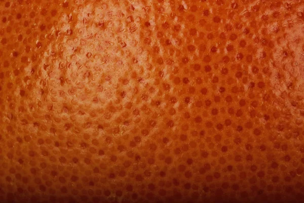 turuncu olgun greyfurt arka plan, yakın görünüm