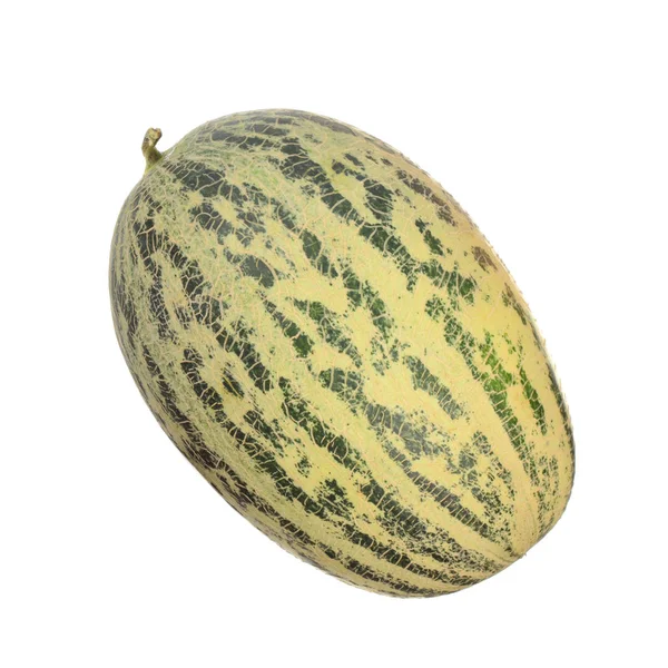 Melon Fruit Close — Stock Photo, Image