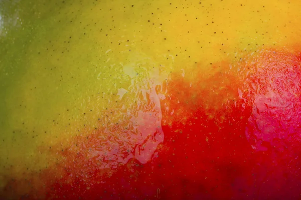 olgun mango meyve yakın 