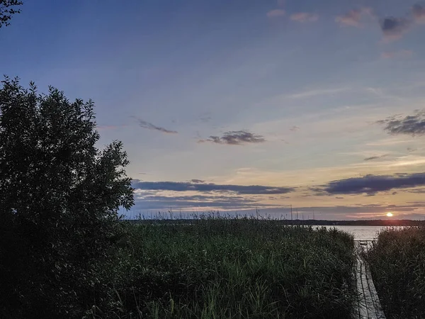 Evening lake. Untouched nature. Romantic outdoor recreation. Traveling in untouched natural places. Sunset in the reeds.