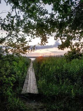 Akşam gölü. El değmemiş doğa. Romantik açık hava eğlencesi. El değmemiş doğal yerlerde seyahat. Sazlıkta gün batımı.