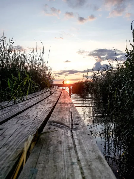 Evening lake. Untouched nature. Romantic outdoor recreation. Traveling in untouched natural places. Sunset in the reeds.