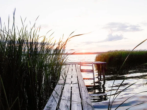 Evening lake. Untouched nature. Romantic outdoor recreation. Traveling in untouched natural places. Sunset in the reeds.