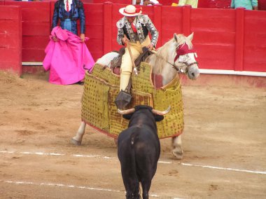 Venezuela. Corrida mı? Boğa güreşi. İspanyol gelenekleri.
