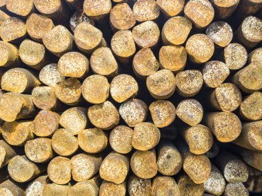 Arka plan ve metal doku. Sıradan şeylere alışılmadık bir bakış.