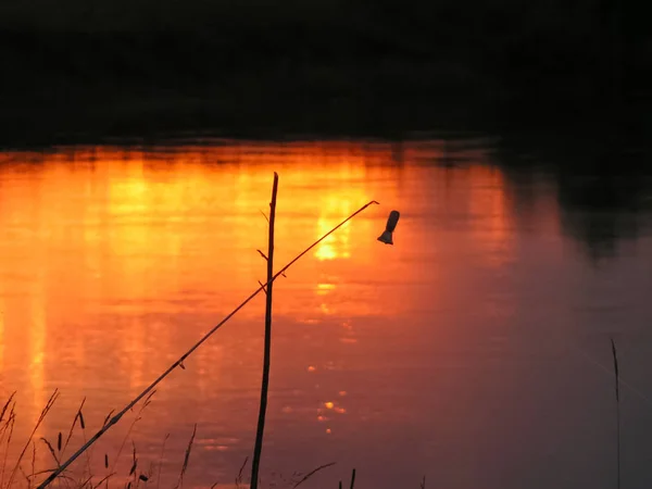 Fishing Sunset Banks Beautiful River Feeder — Stock Photo, Image