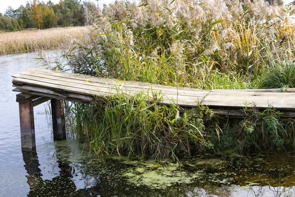 桟橋は 川や湖の上 釣りの場だ水に木製の橋 葦の道 野生の自然リラックスするのに最適な場所 — ストック写真