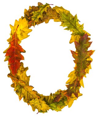 Ekim. Metin sonbahar yaprakları tarafından yapılmış. İngiliz alfabesi. Meşe tilkileri. Tasarım yazı tipi. Doğal renkler. Doğal çekimler. Sonbahar tasarımı. Gerçek doğal güzellik..