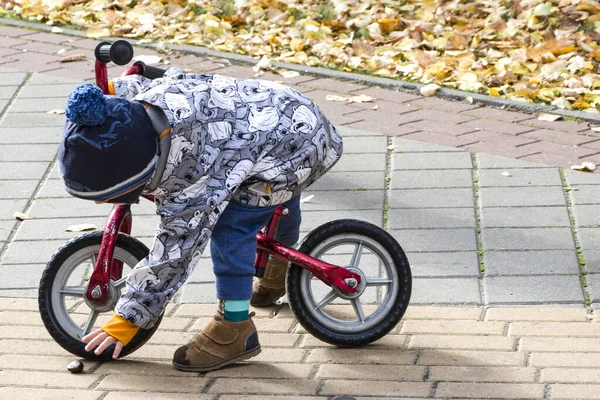 Jovem Ciclista Coleciona Castanhas Uma Criança Uma Bicicleta — Fotografia de Stock