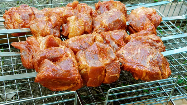 グリルで新鮮なジューシーなマリネ肉 火と石炭の上で料理を作る 自然の中でピクニック バーベキューのための新鮮な肉 — ストック写真