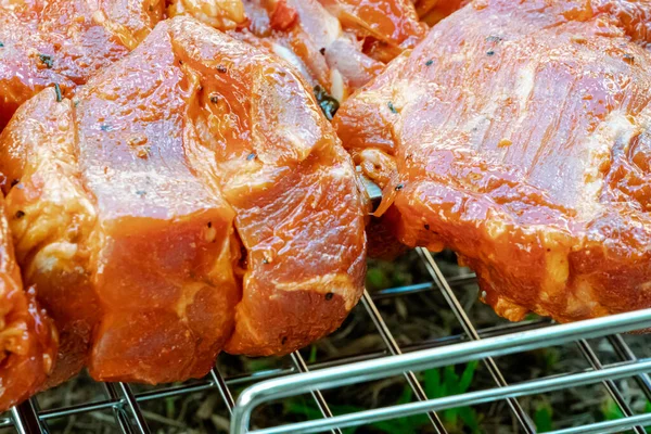 グリルで新鮮なジューシーなマリネ肉 火と石炭の上で料理を作る 自然の中でピクニック バーベキューのための新鮮な肉 — ストック写真
