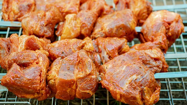 Carne Marinada Fresca Suculenta Grelha Cozinhar Comida Sobre Uma Fogueira — Fotografia de Stock