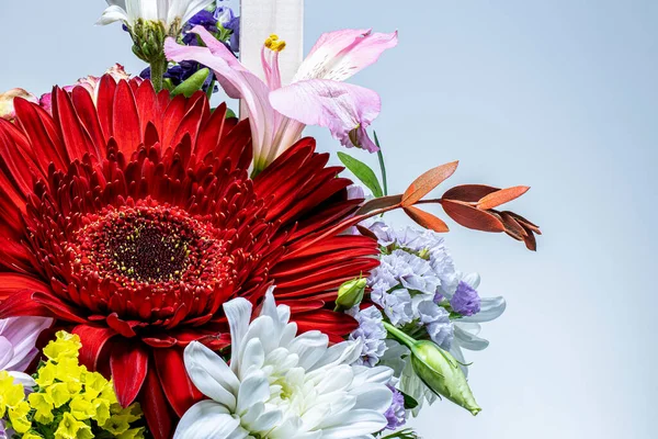 Buquê Flores Gerberas Crisântemos Lírios Close Macro Tiro — Fotografia de Stock