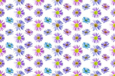 Alp makinesinin çiçeklerinden çiçek desenli. Beyaz izole edilmiş arka plan. Yakın plan. Macro vuruldu. Yazdırma ve tasarım için kavram