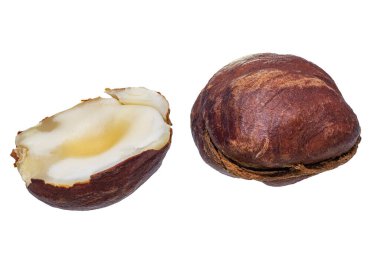 Fındık, beyaz arkaplanda paket tasarım elemanı koleksiyonu olarak kabuksuz yakın plan görüntüsünü izole etti. Fındık makrosu. Fındık çekirdekleri. Tam alan derinliği