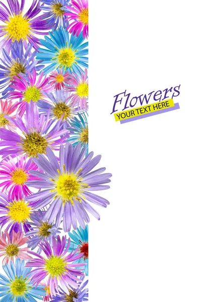Цветочный Фон Альпийских Цветов Изолированное Прошлое Крупный План Праздничная Открытка — стоковое фото