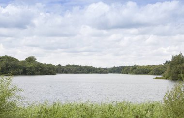 Surrey İngiltere'de Virginia Water lake görünümü