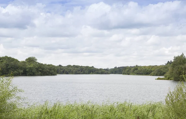 Pohled Jezero Virginia Water Surrey — Stock fotografie