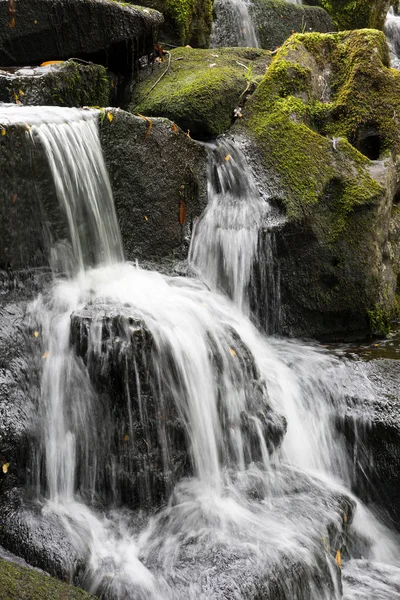 Surrey İngiltere'de Virginia su şelale