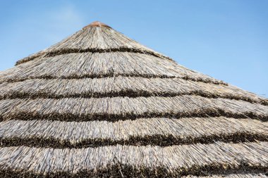 Küçük bir kulübe thatched çatı