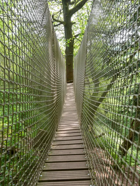 Rope Net Bridge Suspended Trees — Stock Photo, Image