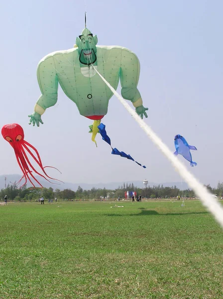 Beaux cerfs-volants dans un festival de cerfs-volants — Photo