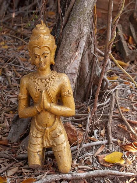 地面の木の下に古い仏像を割る — ストック写真