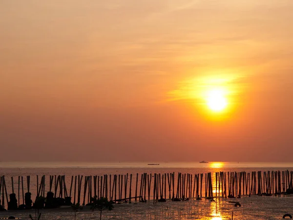 De stok is geborduurd in het zand uitgebreid naar de zee bij zonsondergang tijd met mooie oranje licht — Stockfoto