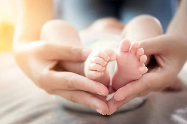 Relación feliz en el concepto familiar: Pies recién nacidos en manos de la madre. Padres sosteniendo pequeños pies de bebé recién nacido en las manos con cuidado suave, enfoque suave . — Foto de Stock