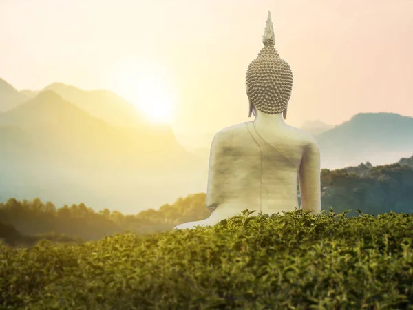 美しい夕日や日の出と背景に素晴らしい自然のシーンと山の緑の公園の真ん中に金色の大きな強力な仏像。仏教徒のための仏像 — ストック写真