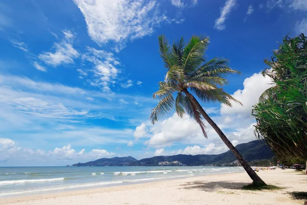 Vista natural de agradável praia tropical de verão com palmas em torno de Patong, Phuket ilha, Tailândia. férias e férias para conceito temporada de verão. bela praia tropical. praia com fundo azul céu — Fotografia de Stock