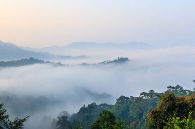 tropikal yağmur ormanlarında yüksek dağların görünümü sabah gündoğumu sırasında sis kaplı