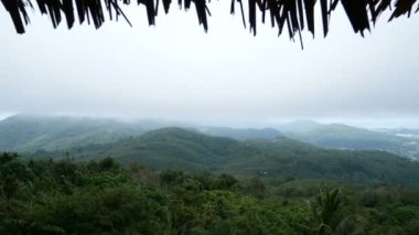 4k. yağmurdan sonra beyaz sis ile yeşil dağların görünümü. yazlık görünümü , kulübenin çatısından saz ön ön olarak ön