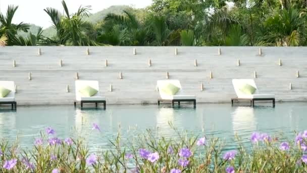 4Kシームレスループ 自然の緑の木の背景と前景で美しい花を持つスイミングプールの近くにリクライニングチェア 人なしでスイミングプールの波状の水 — ストック動画