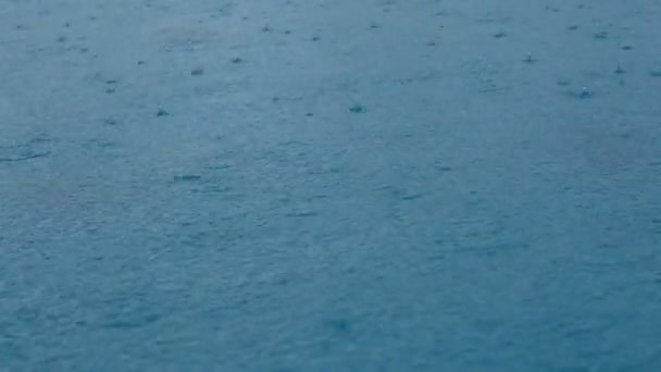 4Kフッテージシームレスループ 水面にクローズアップ映像雨 雨は水たまりシームレスなループの背景をドロップします 雨の日の天気 ループ可能な雨水雨滴 水滴クローズアップ — ストック動画