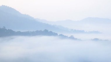 dolly sürgü kamera ile sabah gündoğumu sırasında sis kaplı tropikal yağmur ormanlarında yüksek dağların görünümü , Hd