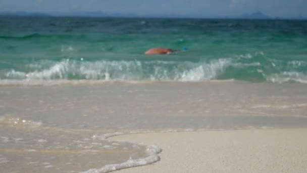 シュノーケルマスクを持つ観光客は泳ぎ シュノーケリングは プーケット タイのビーチから遠くない水面で美しい魚やサンゴを見つけます アジアの夏季のアクティビティを持つ熱帯のビーチ — ストック動画