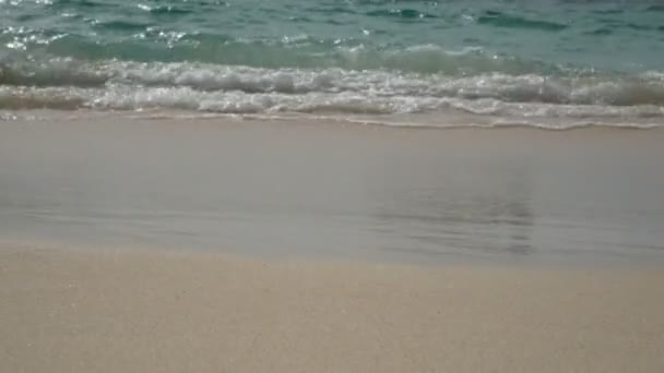 Soft Wave Sea Sound Clear Water White Sand Beach Copy — Stock Video