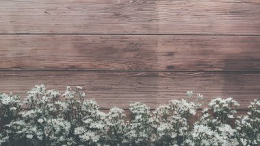 kopya alanı ile ahşap tahta masa arka plan üzerinde bahçe bahar beyaz küçük çiçekler, retro renk tarzı