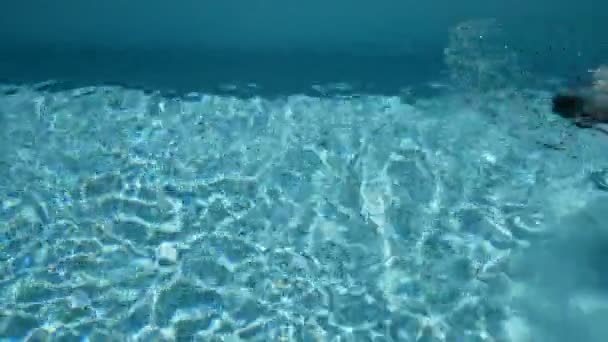 透明な水でスイミングプールで水中を泳ぐトーンの体を持つ若いスポーツマン 熱帯地域コンセプトの夏の季節 — ストック動画